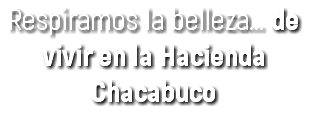 Respiramos la belleza... de vivir en la Hacienda Chacabuco