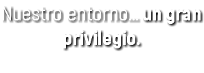 Nuestro entorno... un gran privilegio.
